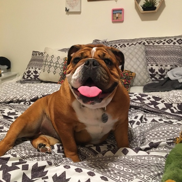 Meet your Posher, Ashley - Picture 4 of 8